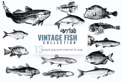 Vintage Fish Collection